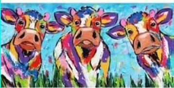 Zeer grote partij Diamond paintings  beschikbaar voor biedingen