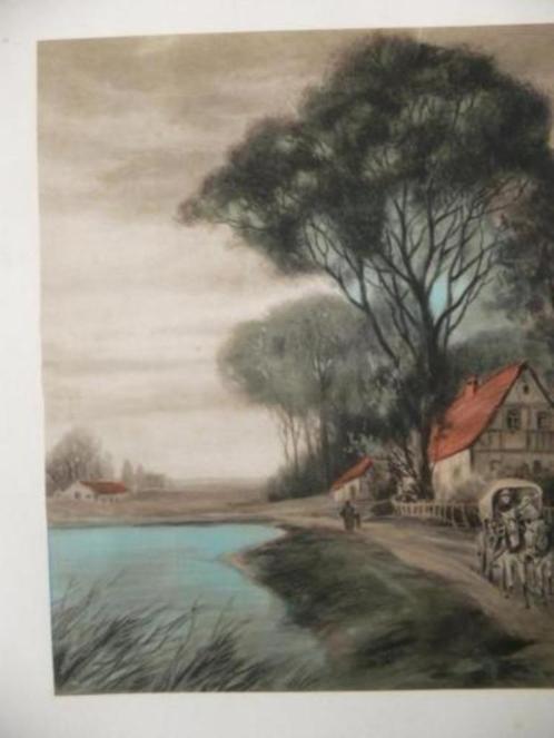 oude prenten, Verzamelen, Foto's en Prenten, Zo goed als nieuw, Prent, Natuur, Voor 1940, Ophalen of Verzenden