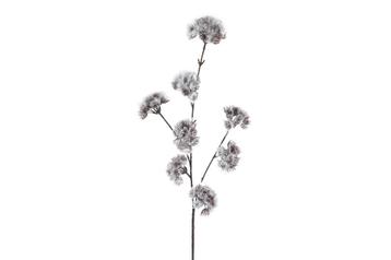 Kunstbloem Distel Bruin/Grijs 81cm beschikbaar voor biedingen