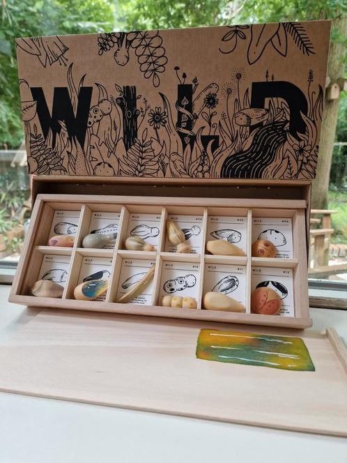 Nieuw Grapat set WILD, Kinderen en Baby's, Speelgoed | Educatief en Creatief, Nieuw, Ontdekken, Ophalen of Verzenden