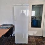 Liebherr grote koelkast, Witgoed en Apparatuur, Koelkasten en IJskasten, Ophalen, 200 liter of meer, 60 cm of meer, 160 cm of meer