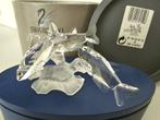 Swarovski Tropisch vissen incl.doos & certificaat, Verzamelen, Ophalen of Verzenden, Nieuw, Figuurtje