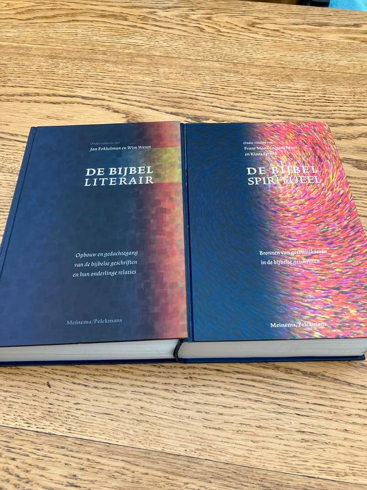 De Bijbel Literair & Spiritueel - 2 Boeken, Boeken, Godsdienst en Theologie, Zo goed als nieuw, Christendom | Katholiek, Ophalen of Verzenden