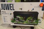 Aquaria voor speciale prijzen!, Ophalen, Nieuw, Plant(en), Steen of Hout