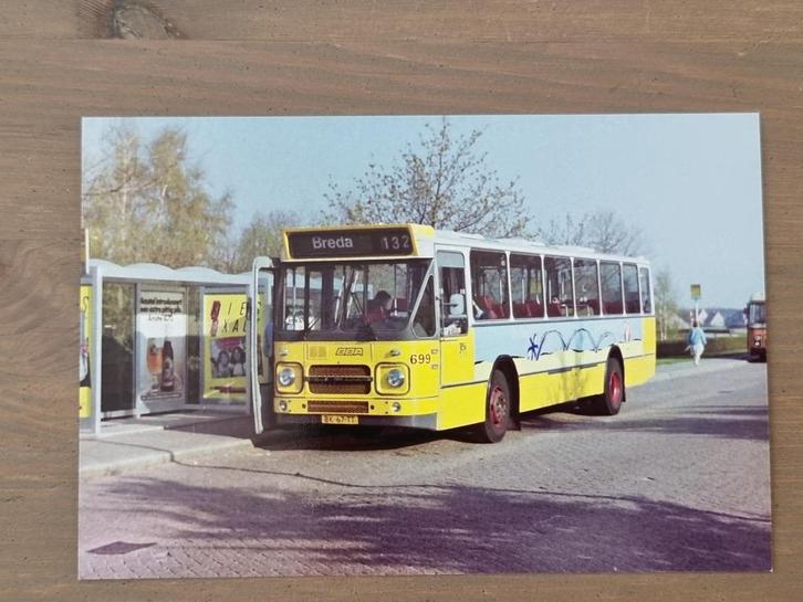 Foto BUS BBA Breda 699, Verzamelen, Spoorwegen en Tramwegen, Gebruikt, Bus of Metro, Overige typen, Verzenden
