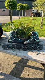 Skeelers dames Tempish maat 37, Overige merken, Gebruikt, Ophalen of Verzenden, Inline skates 4 wielen