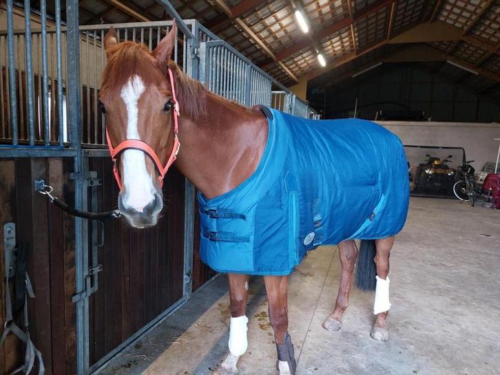 Harry’s horse winterdeken maat 185, Dieren en Toebehoren, Paarden en Pony's | Dekens en Dekjes, Gebruikt, Ophalen of Verzenden