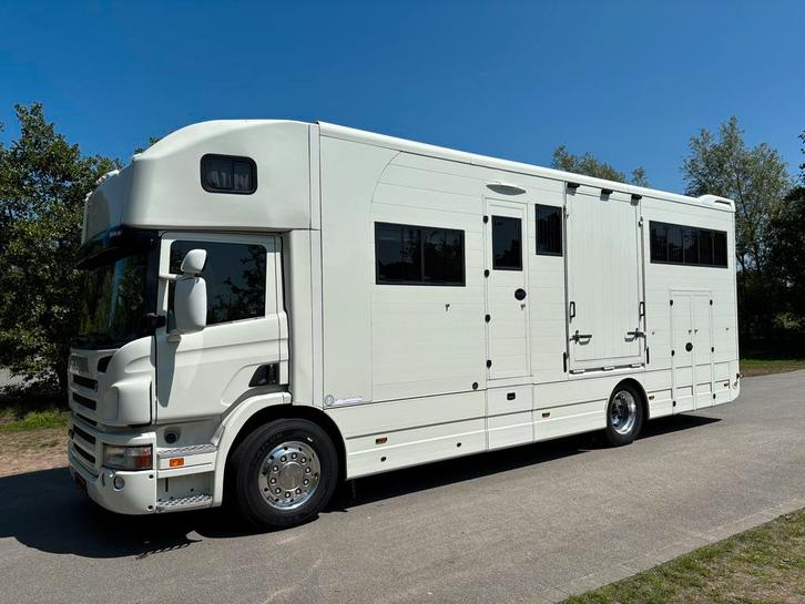 Paardenvrachtwagen Scania P310 JK Horsetrucks Paardenwagen, Dieren en Toebehoren, Paarden en Pony's | Trailers en Aanhangwagens