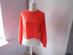 nieuwe oranjerode sweater Pantone van Bershka, mt XS-S, Kleding | Dames, Truien en Vesten, Nieuw, Oranje, Maat 34 (XS) of kleiner