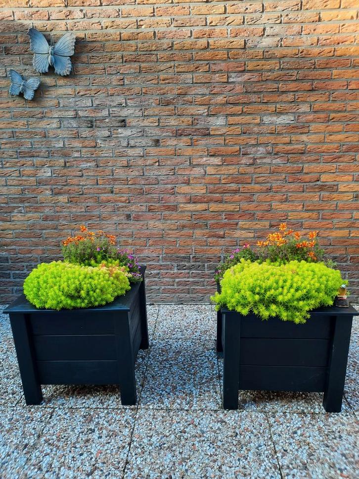 Bloembakken, Tuin en Terras, Bloembakken en Plantenbakken, Nieuw, Hout, 30 tot 60 cm, Minder dan 60 cm, Rechthoekig, Ophalen