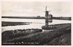 Texel vogelbroedplaats "De Bol" in het noorden met molen, Verzenden, 1920 tot 1940, Gelopen, Waddeneilanden
