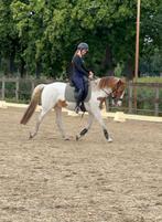 Zadelmak maken en trainings plek vrij!, Ophalen, Overige soorten