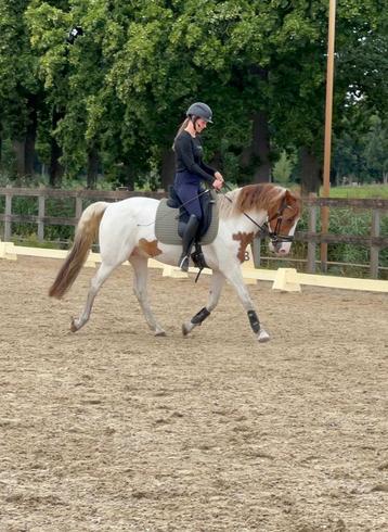 Zadelmak maken en trainings plek vrij! beschikbaar voor biedingen