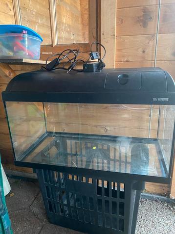 Aquarium beschikbaar voor biedingen