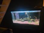 Aquarium tropisch, Ophalen, Gebruikt, Leeg aquarium