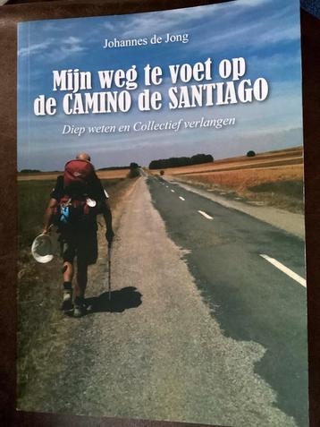 Camino de Santiago: Reisverhaal Johannes de Jong beschikbaar voor biedingen