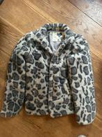 Gaaf panterjasje maat 158-164 hema, Ophalen of Verzenden, Gebruikt, Meisje, Jas