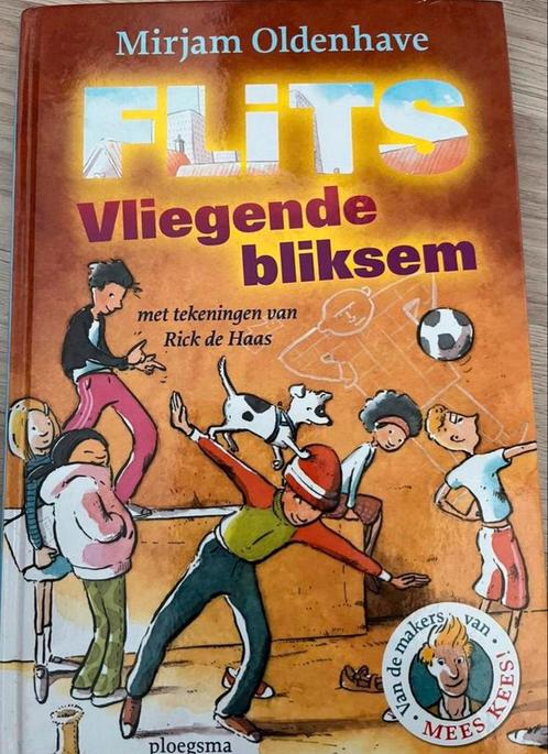 FLITS VLIEGENDE BLIKSEM, Boeken, Kinderboeken | Jeugd | 10 tot 12 jaar, Gelezen, Ophalen of Verzenden