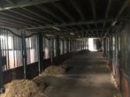 EXCLUSIEVE PAARDENSTALLEN, Dieren en Toebehoren
