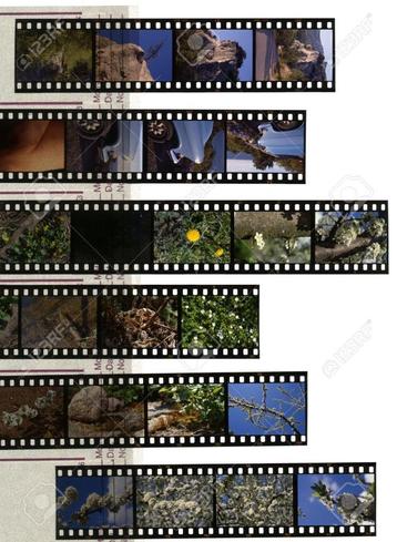 dia projector stuk ? Dia 's en negatieven scannen beschikbaar voor biedingen