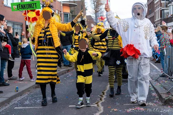 Loopgroep Carnaval Bijenpakken + accessoires, Kleding | Heren, Carnavalskleding en Feestkleding, Gedragen, Kleding, Carnaval, Overige maten