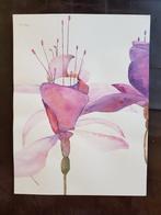 Aquarel Fuchsiabloem, Antiek en Kunst, Ophalen of Verzenden