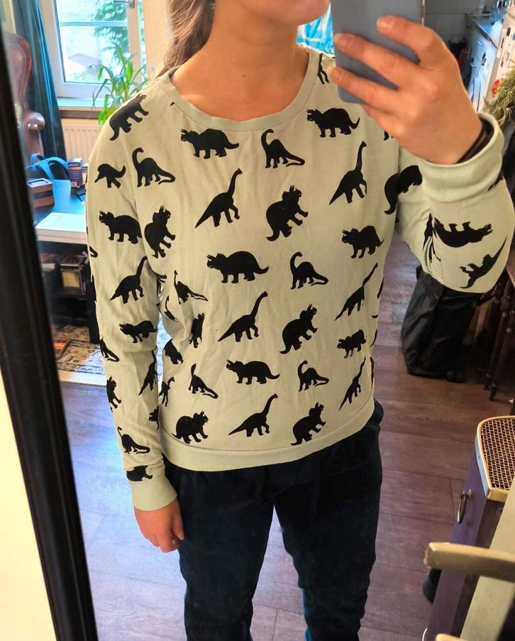 Trui met dino's, Kleding | Dames, Truien en Vesten, Gedragen, Maat 34 (XS) of kleiner, Blauw, Ophalen of Verzenden