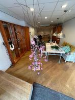 Roze boom, Ophalen, Bloeit niet, Volledige schaduw, Overige soorten