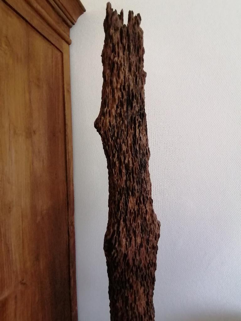 Mosselpaal/stam, Ophalen, Gebruikt