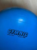 Gymnic zitbal 65 cm, Sport en Fitness, Fitnessmaterialen, Ophalen of Verzenden, Zo goed als nieuw, Overige typen