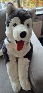 Grote Knuffel Husky - Zacht en Lief!, Kinderen en Baby's, Speelgoed | Knuffels en Pluche, Ophalen of Verzenden, Zo goed als nieuw