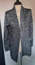 Vestje zilver met glitters, Ophalen of Verzenden, Zo goed als nieuw, Maat 38/40 (M), Grijs