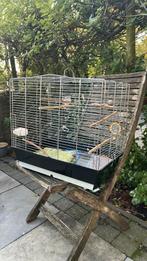 Vogelkooi gratis op te halen, Dieren en Toebehoren, Ophalen, Gebruikt, Metaal, Vogelkooi
