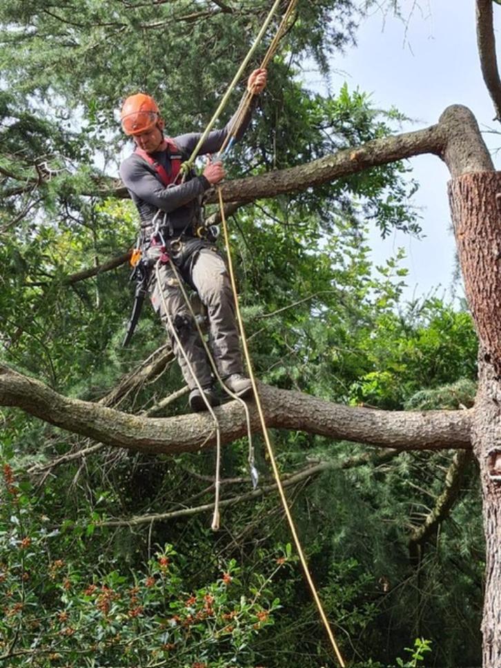 Boomverzorging regio Zuid-Limburg, Diensten en Vakmensen, Tuinmannen en Stratenmakers, Tuinonderhoud of Snoeiwerk, Garantie