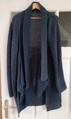 Claudia Sträter grijsblauw vest maat L, Kleding | Dames, Truien en Vesten, Blauw, Maat 42/44 (L), Ophalen of Verzenden, Zo goed als nieuw