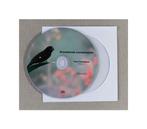 Twa Twa Kiauw, Kiauwring. Rowtie. Picolet. Tsipa, Dieren en Toebehoren, Vogels | Overige Vogels, Meerdere dieren, Tropenvogel