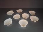 8 jacobsschelpen wit 7 x 7 cm voorgerecht of ambacht, Ophalen of Verzenden, Schelp(en)