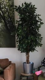 Kunstplant, Ophalen of Verzenden, Zo goed als nieuw
