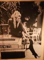 Waanzinnig mooie foto van Brigitte Bardot op dibond 123/162, Ophalen
