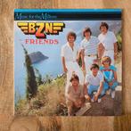 BZN Friends, Ophalen of Verzenden