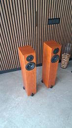 Totem Hawk speakers, Audio, Tv en Foto, Luidsprekers, Zo goed als nieuw, 60 tot 120 watt, Front, Rear of Stereo speakers, Ophalen