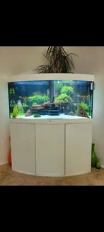 Juwel vision 450 wit aquarium, Dieren en Toebehoren, Ophalen, Gebruikt