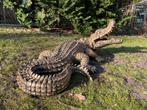 Beeld krokodil, tuin, zwembad, vijver, boerderij 125cm, Ophalen, Nieuw, Kunststof, Dierenbeeld