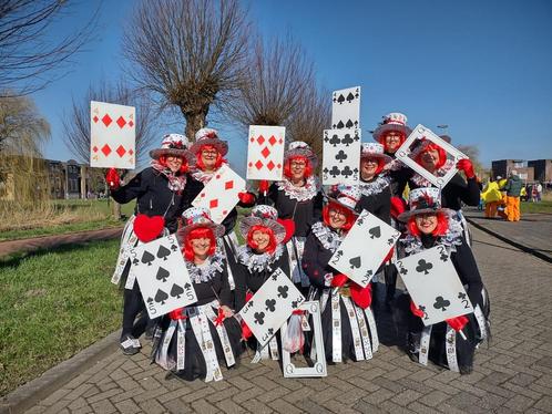 Carnaval loopgroep, Kleding | Dames, Carnavalskleding en Feestkleding, Zo goed als nieuw, Ophalen of Verzenden