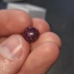 Ster Robijn - 5.71ct 8,5mm, Ophalen of Verzenden, Nieuw