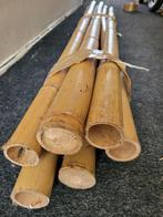 bamboe palen / stokken, Ophalen, Zo goed als nieuw, 180 tot 250 cm, Palen