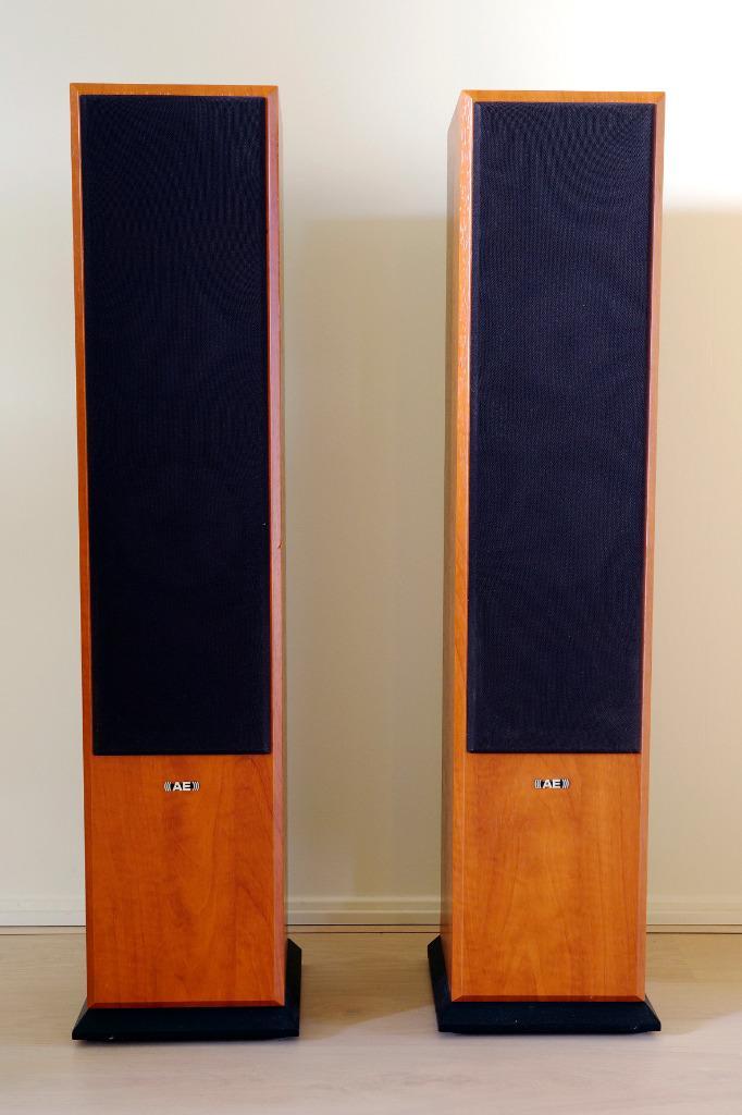 Acoustic Energy Aegis Evo 3, Audio, Tv en Foto, Luidsprekers, Gebruikt, Front, Rear of Stereo speakers, 120 watt of meer, Overige merken