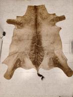 Huid gazelle, Afrika, vloerkleed, Ophalen of Verzenden