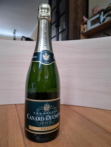 Champagne Canard-Duchêne Brut beschikbaar voor biedingen