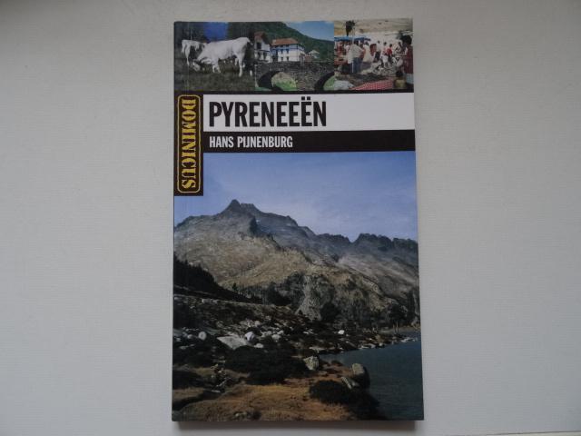 Pyreneeen ; dominicus reisgids, Boeken, Reisgidsen, Zo goed als nieuw, Reisgids of -boek, Europa, Overige merken, Ophalen of Verzenden